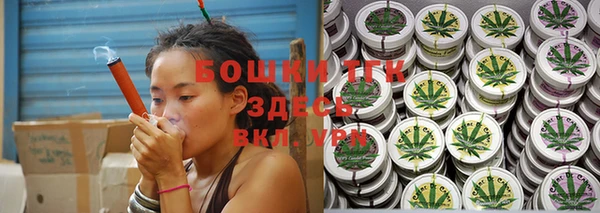 эйфоретик Пересвет