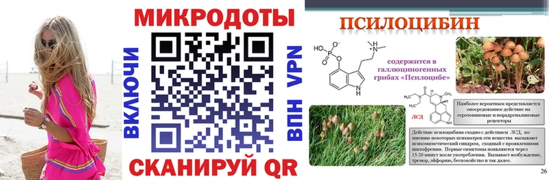 Галлюциногенные грибы Psilocybe  Зеленогорск 